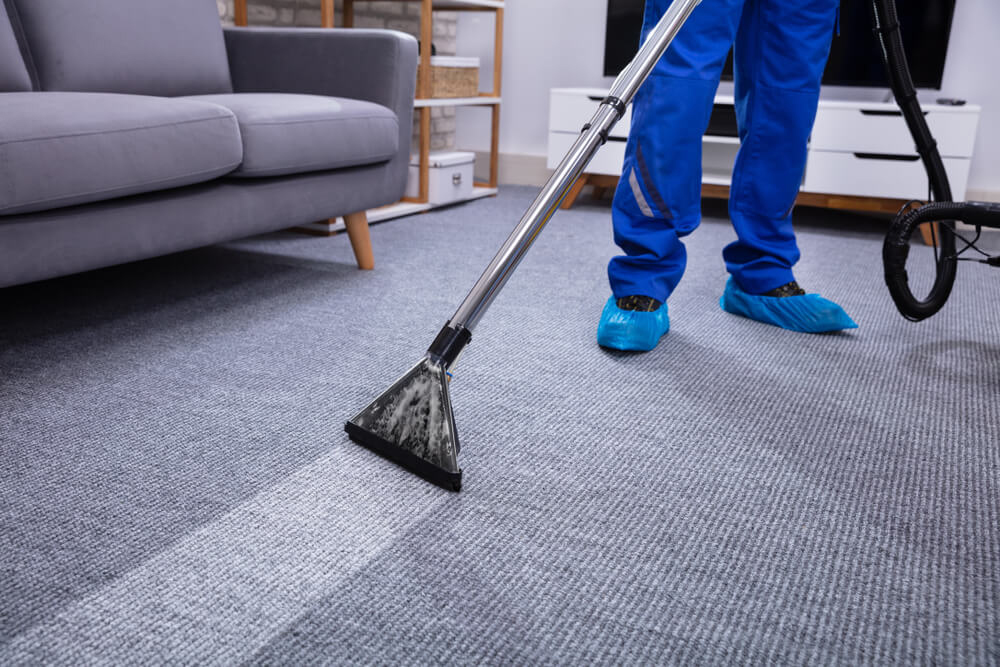carpet cleaning service